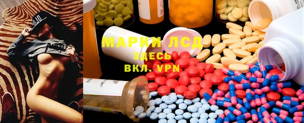 сатива Ельня