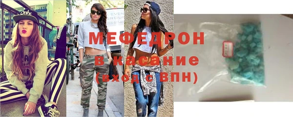 сатива Ельня