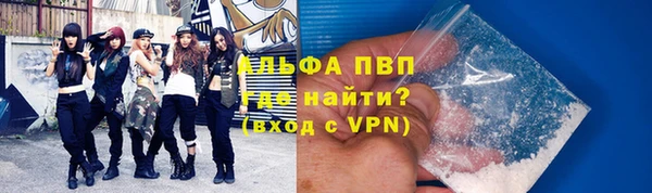 сатива Ельня