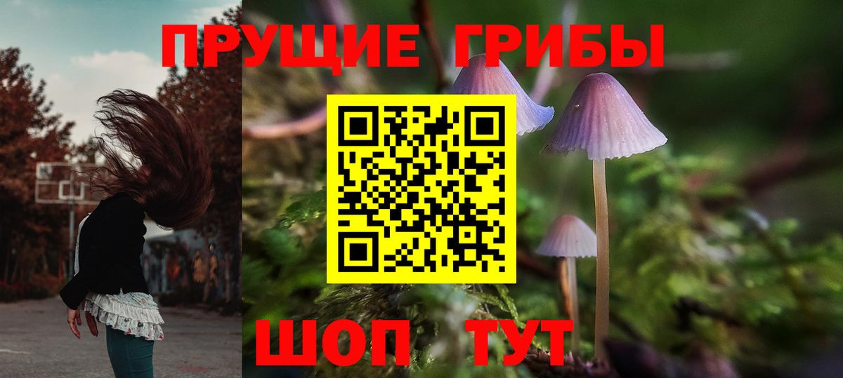 Галлюциногенные грибы ЛСД  Вход с VPN  Галлюциногенные грибы Psilocybine cubensis  Свободный 