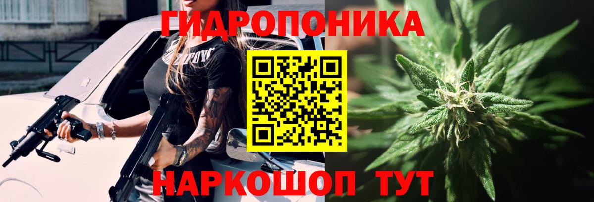 Бошки Шишки конопля  Каннабис семена  Конопля VHQ  Свободный  Вход с VPN  Шишки марихуана Amnesia 